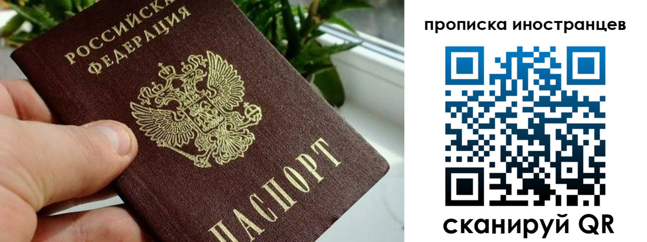 временная регистрация в Павлово